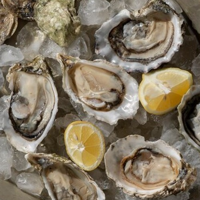 Weekly Cold Water Oysters (Dozen).